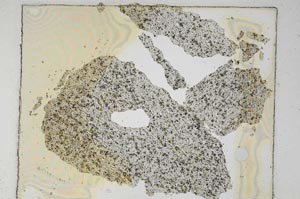 Plane Polarized, S6139