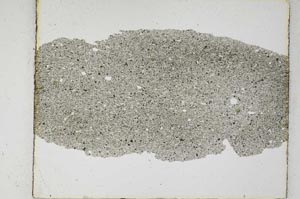 Plane Polarized, S6143