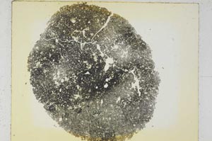 Plane Polarized, S6145