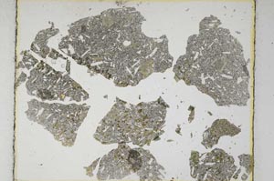 Plane Polarized, S6149