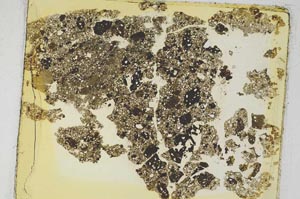Plane Polarized, S6164