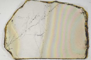 Plane Polarized, S6216