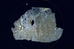 Cross Polarized, S6218