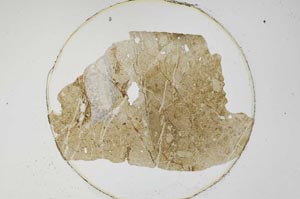 Plane Polarized, S6218