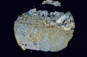 Cross Polarized, S6219