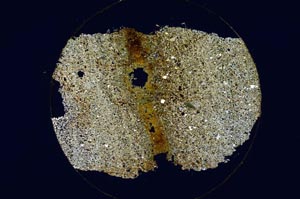 Cross Polarized, S6221