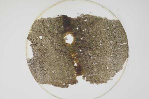 Plane Polarized, S6221