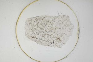 Plane Polarized, S6222