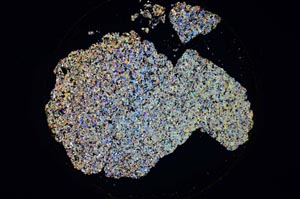 Cross Polarized, S6223