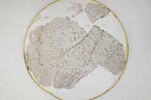 Plane Polarized, S6223