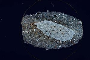 Cross Polarized, S6227