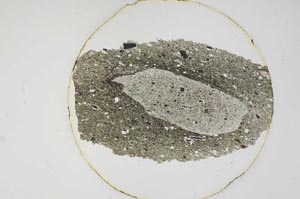 Plane Polarized, S6227