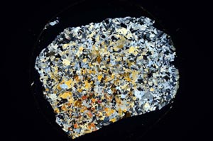 Cross Polarized, S6229