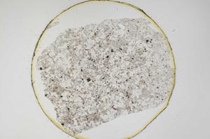 Plane Polarized, S6229