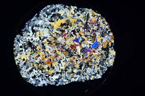 Cross Polarized, S6230