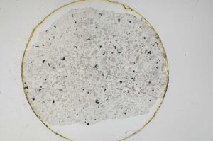 Plane Polarized, S6230