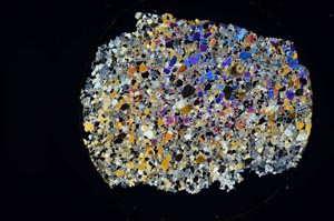 Cross Polarized, S6233