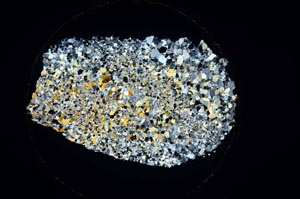 Cross Polarized, S6235