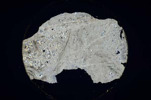 Cross Polarized, S6237