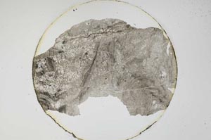 Plane Polarized, S6237