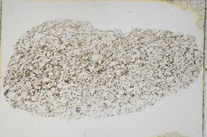 Plane Polarized, S6244