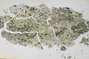 Plane Polarized, S6280