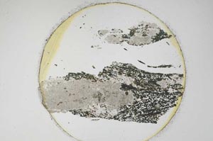 Plane Polarized, S6339