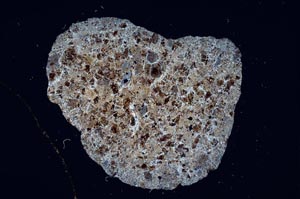 Cross Polarized, S6355