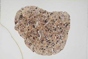 Plane Polarized, S6355