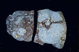 Cross Polarized, S6356