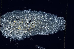 Cross Polarized, S6360