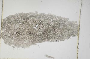 Plane Polarized, S6360