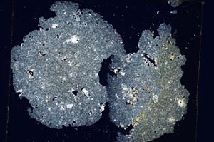 Cross Polarized, S6366