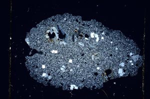 Cross Polarized, S6367