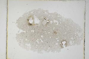 Plane Polarized, S6367