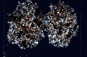 Cross Polarized, S6373