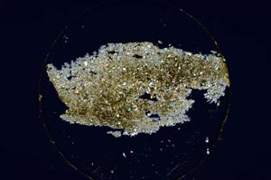 Cross Polarized, S6385