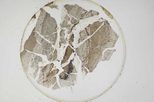 Plane Polarized, S6433