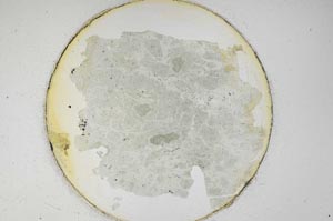 Plane Polarized, S6434