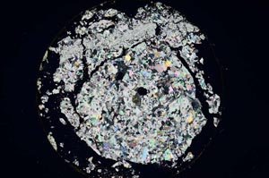 Cross Polarized, S6438