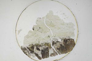 Plane Polarized, S6439