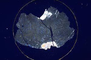 Cross Polarized, S6440