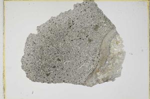 Plane Polarized, S6613