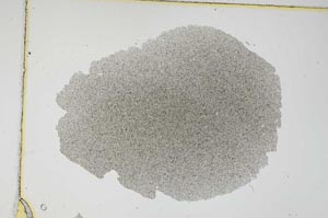 Plane Polarized, S6616