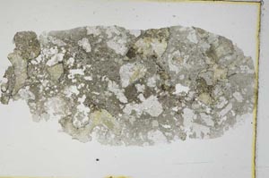 Plane Polarized, S6617