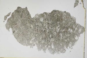 Plane Polarized, S6618