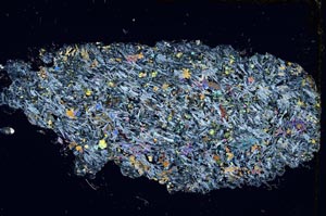 Cross Polarized, S6630