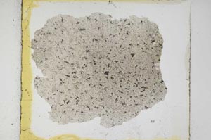 Plane Polarized, S6651
