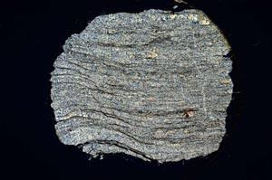 Cross Polarized, S6515