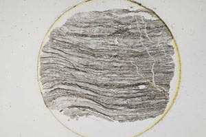 Plane Polarized, S6515